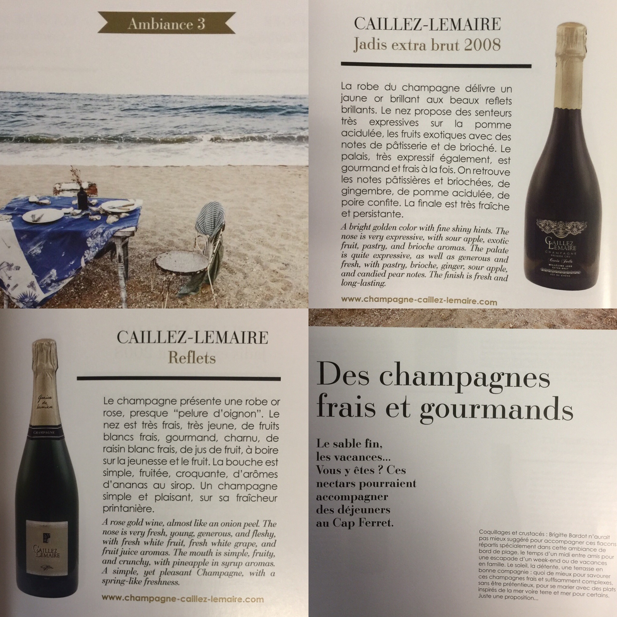 Champagnes frais et gourmands, Reflets brut, Jadis 2008