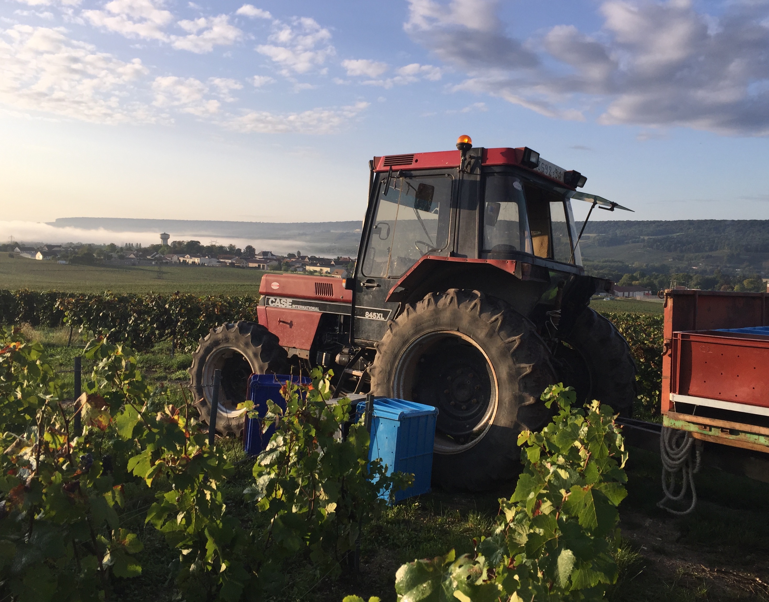 Meunier DAMERY Vendanges 2017