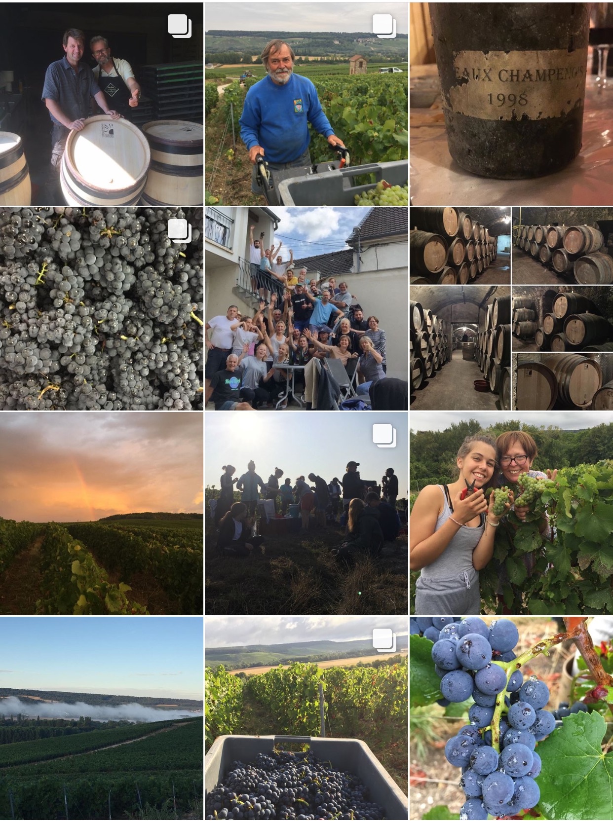 Vendanges 2018, images Instagram, réseaux sociaux